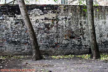 IMG_ (10443)